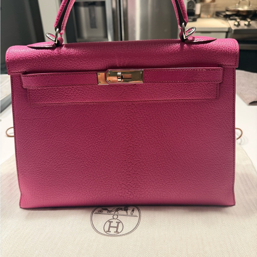 Hermes Chèvre Kelly 20 Handbag - Picture 3 of 11
